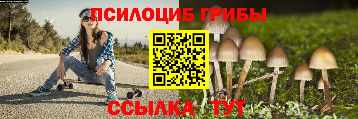 Галлюциногенные грибы Psilocybine cubensis Миллерово