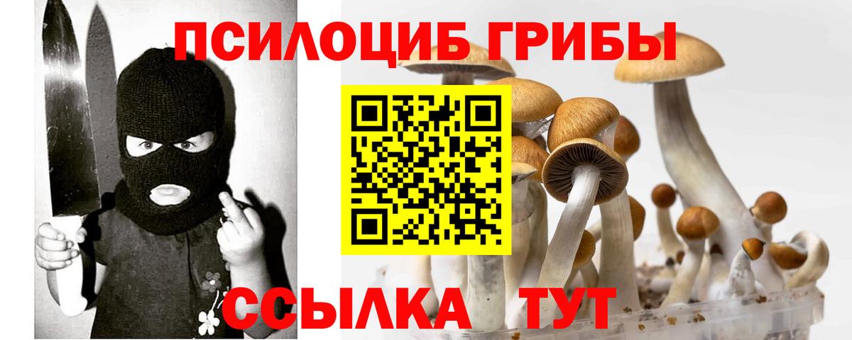 Миллерово  Псилоцибиновые грибы Psilocybine cubensis  Псилоцибиновые грибы ЛСД  Вход с VPN 
